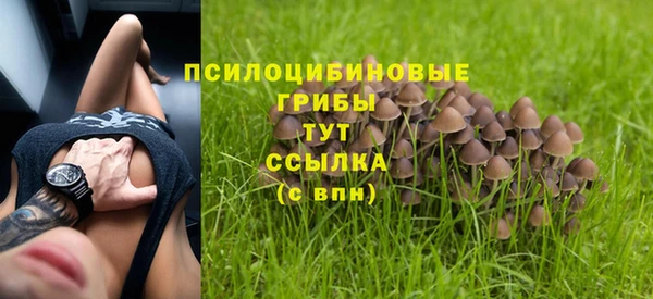 мескалин Алексеевка