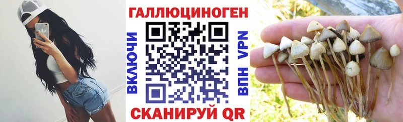 Псилоцибиновые грибы Cubensis  купить   Новороссийск 